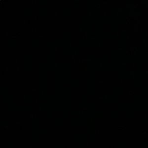 Meet your Posher, Carter